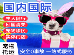 东阳横店空运公司国际宠物托运 【国